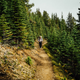 Illustration for article titled How To Backpack Alberta's Most Scenic Trail